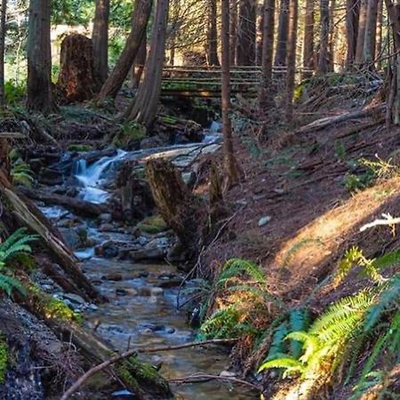 Forest Haven Hideaway Roberts Creek Εξωτερικό φωτογραφία